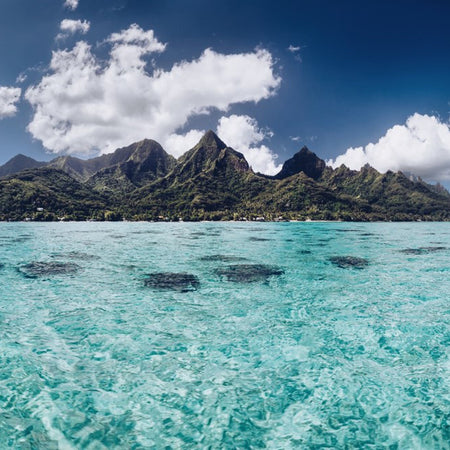 Een paradijs op aarde; Moorea